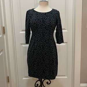 Talbots 6P Cheetah Print Black Gray Teal Dress